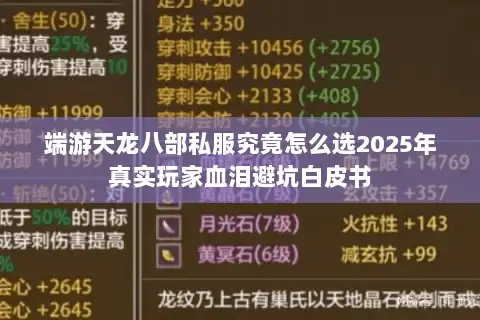 端游天龙八部私服究竟怎么选2025年真实玩家血泪避坑白皮书 端游天龙八部私服究竟怎么选2025年真实玩家血泪避坑白皮书