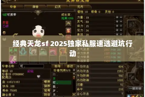 经典天龙sf 2025独家私服速选避坑行动