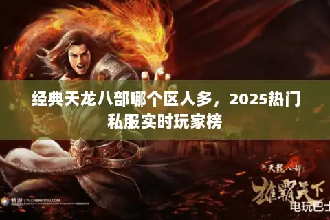 经典天龙八部哪个区人多，2025热门私服实时玩家榜