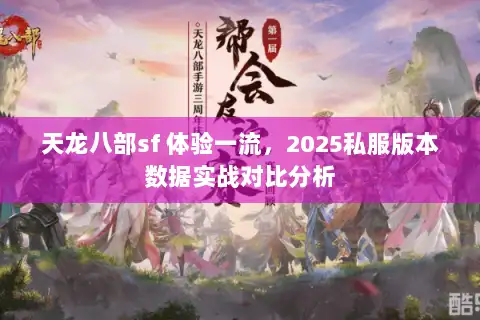 天龙八部sf 体验一流，2025私服版本数据实战对比分析