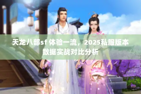 天龙八部sf 体验一流，2025私服版本数据实战对比分析
