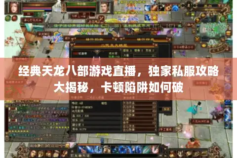 经典天龙八部游戏直播，独家私服攻略大揭秘，卡顿陷阱如何破