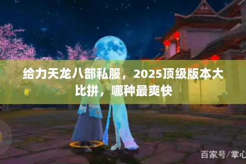 给力天龙八部私服，2025顶级版本大比拼，哪种最爽快