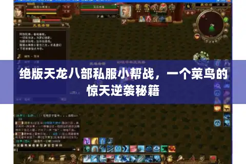 绝版天龙八部私服小帮战，一个菜鸟的惊天逆袭秘籍