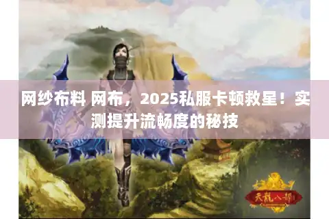 网纱布料 网布，2025私服卡顿救星！实测提升流畅度的秘技