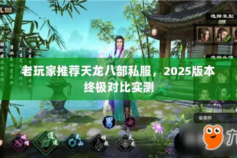 老玩家推荐天龙八部私服,2025版本终极对比实测 老玩家推荐天龙八部私服,2025版本终极对比实测