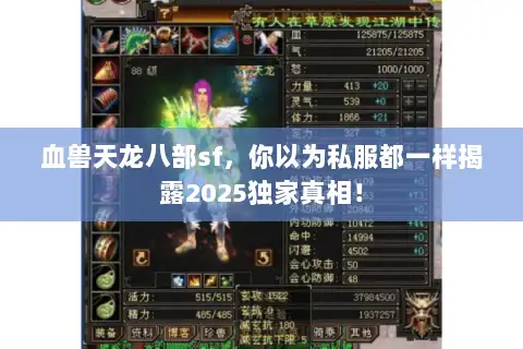 血兽天龙八部sf，你以为私服都一样揭露2025独家真相！
