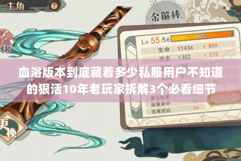 血浴版本到底藏着多少私服用户不知道的狠活10年老玩家拆解3个必看细节