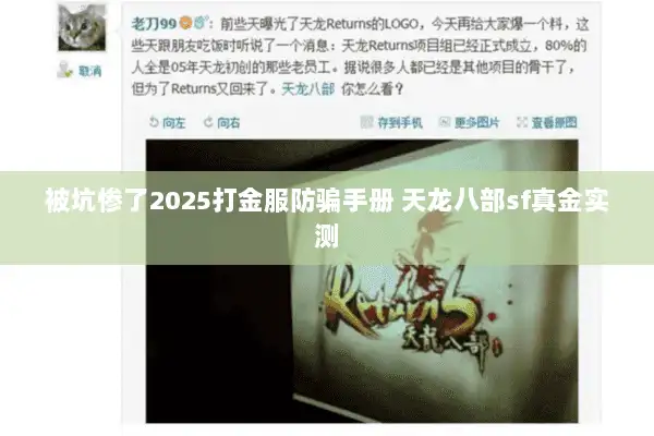 被坑惨了2025打金服防骗手册 天龙八部sf真金实测
