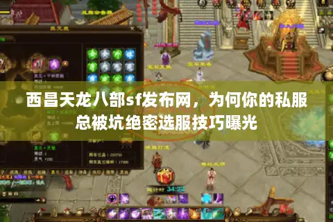 西昌天龙八部sf发布网，为何你的私服总被坑绝密选服技巧曝光