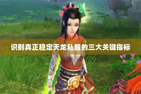 识别真正稳定天龙私服的三大关键指标