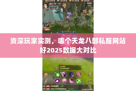 资深玩家实测,哪个天龙八部私服网站好2025数据大对比 资深玩家实测,哪个天龙八部私服网站好2025数据大对比