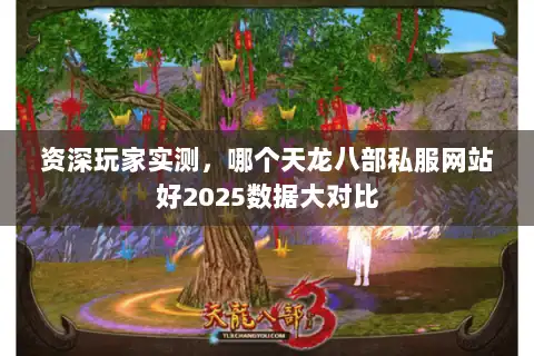 资深玩家实测,哪个天龙八部私服网站好2025数据大对比 资深玩家实测,哪个天龙八部私服网站好2025数据大对比