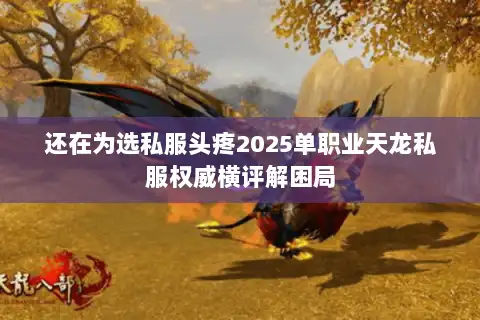 还在为选私服头疼2025单职业天龙私服权威横评解困局