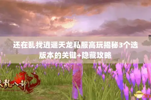 还在乱找逍遥天龙私服高玩揭秘3个选版本的关键+隐藏攻略