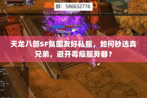 天龙八部SF氛围友好私服，如何秒选真兄弟，避开毒瘤服务器？