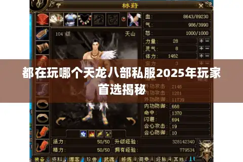 都在玩哪个天龙八部私服2025年玩家首选揭秘 都在玩哪个天龙八部私服2025年玩家首选揭秘