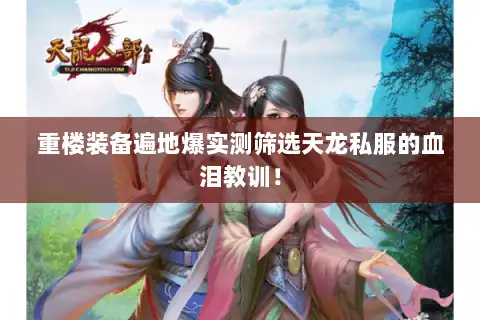 重楼装备遍地爆实测筛选天龙私服的血泪教训！