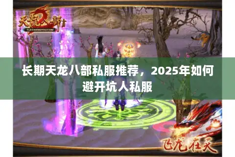 长期天龙八部私服推荐，2025年如何避开坑人私服