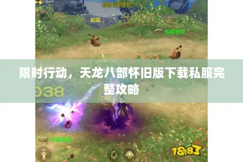 限时行动，天龙八部怀旧版下载私服完整攻略