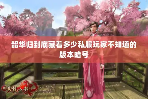 韶华归到底藏着多少私服玩家不知道的版本暗号 韶华归到底藏着多少私服玩家不知道的版本暗号