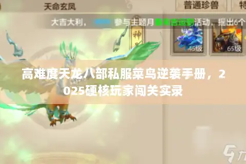 高难度天龙八部私服菜鸟逆袭手册，2025硬核玩家闯关实录