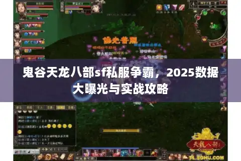鬼谷天龙八部sf私服争霸，2025数据大曝光与实战攻略