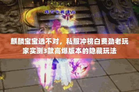 麒麟宝宝选不对，私服冲榜白费劲老玩家实测3款高爆版本的隐藏玩法