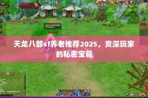 天龙八部sf养老推荐2025,资深玩家的私密宝藏 天龙八部sf养老推荐2025,资深玩家的私密宝藏