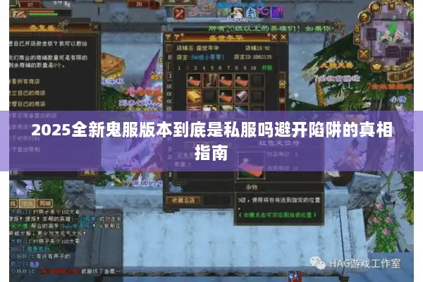 2025全新鬼服版本到底是私服吗避开陷阱的真相指南