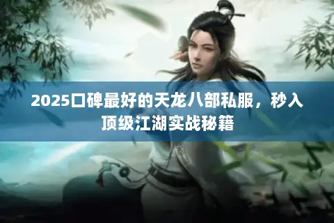 2025口碑最好的天龙八部私服，秒入顶级江湖实战秘籍