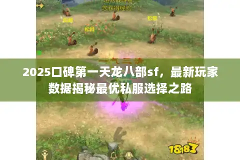 2025口碑第一天龙八部sf，最新玩家数据揭秘最优私服选择之路