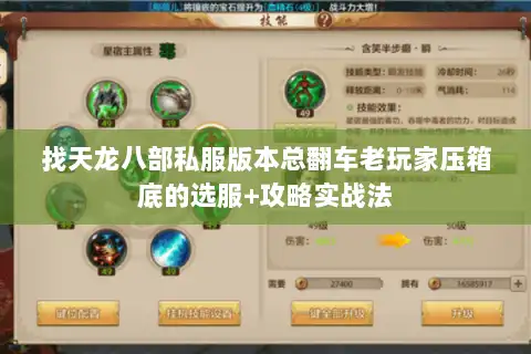 找天龙八部私服版本总翻车老玩家压箱底的选服+攻略实战法