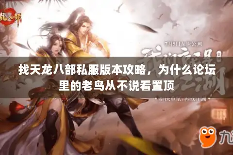 找天龙八部私服版本攻略，为什么论坛里的老鸟从不说看置顶