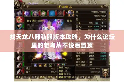 找天龙八部私服版本攻略，为什么论坛里的老鸟从不说看置顶