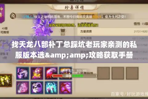 找天龙八部补丁总踩坑老玩家亲测的私服版本选&amp;攻略获取手册