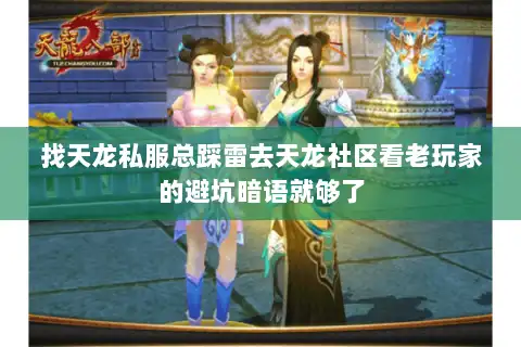 找天龙私服总踩雷去天龙社区看老玩家的避坑暗语就够了