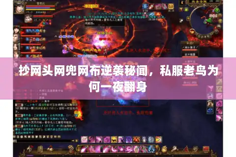 抄网头网兜网布逆袭秘闻，私服老鸟为何一夜翻身