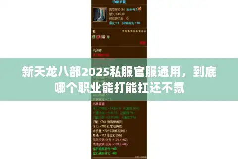 新天龙八部2025私服官服通用,到底哪个职业能打能扛还不氪 新天龙八部2025私服官服通用,到底哪个职业能打能扛还不氪