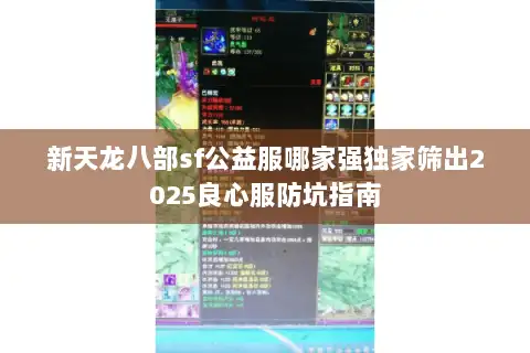 新天龙八部sf公益服哪家强独家筛出2025良心服防坑指南