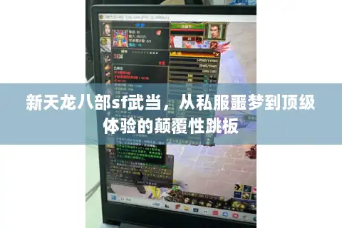 新天龙八部sf武当，从私服噩梦到顶级体验的颠覆性跳板