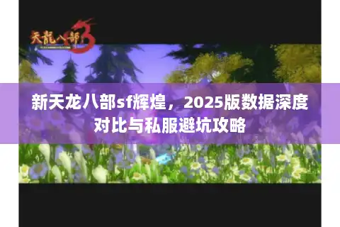新天龙八部sf辉煌,2025版数据深度对比与私服避坑攻略 新天龙八部sf辉煌,2025版数据深度对比与私服避坑攻略