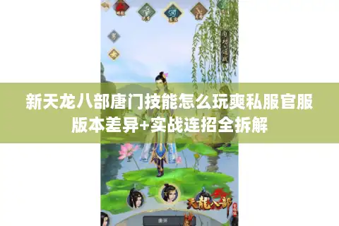 新天龙八部唐门技能怎么玩爽私服官服版本差异+实战连招全拆解