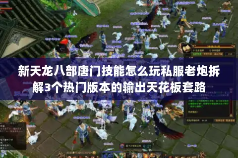 新天龙八部唐门技能怎么玩私服老炮拆解3个热门版本的输出天花板套路 新天龙八部唐门技能怎么玩私服老炮拆解3个热门版本的输出天花板套路