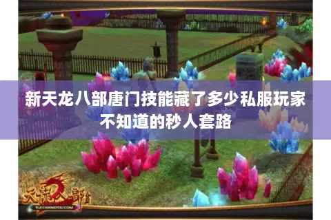 新天龙八部唐门技能藏了多少私服玩家不知道的秒人套路