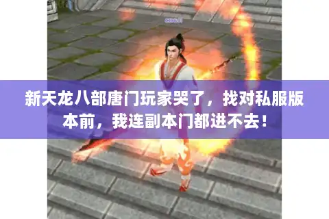 新天龙八部唐门玩家哭了，找对私服版本前，我连副本门都进不去！