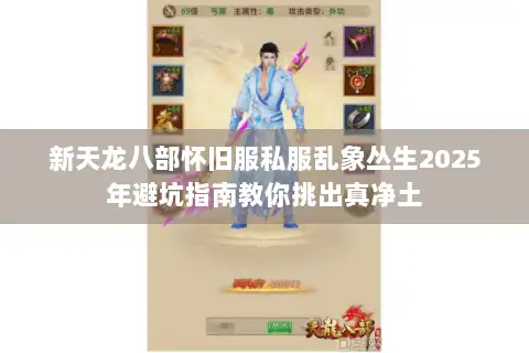 新天龙八部怀旧服私服乱象丛生2025年避坑指南教你挑出真净土 新天龙八部怀旧服私服乱象丛生2025年避坑指南教你挑出真净土