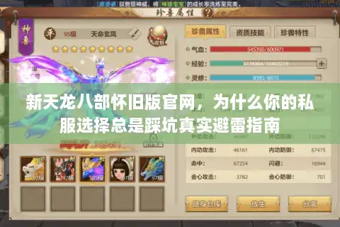 新天龙八部怀旧版官网,为什么你的私服选择总是踩坑真实避雷指南 新天龙八部怀旧版官网,为什么你的私服选择总是踩坑真实避雷指南