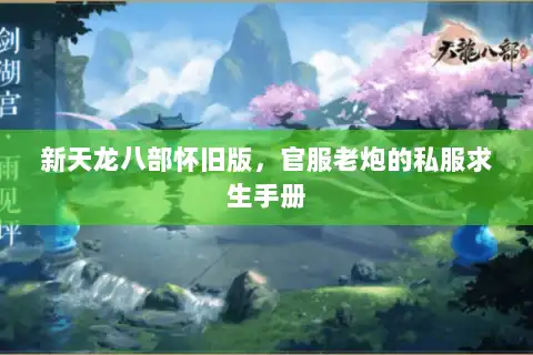 新天龙八部怀旧版，官服老炮的私服求生手册