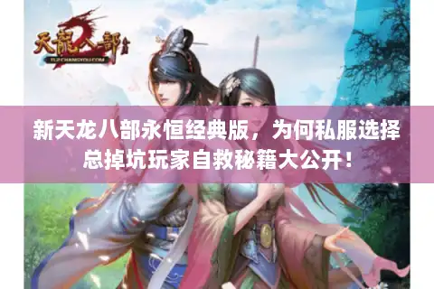 新天龙八部永恒经典版,为何私服选择总掉坑玩家自救秘籍大公开! 新天龙八部永恒经典版,为何私服选择总掉坑玩家自救秘籍大公开!